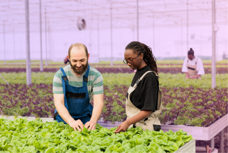 A co-op student is being trained